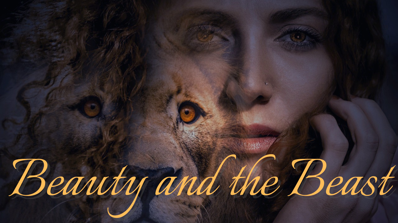 映画Beauty and the Beast(美女と野獣)のセリフから英語が勉強できる動画、英単語リストページのイメージ画像